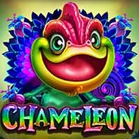 Chameleon